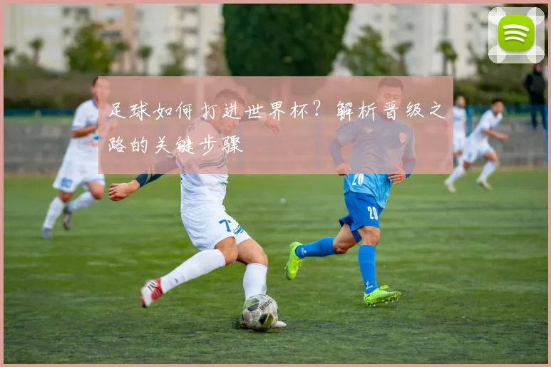 足球如何打进世界杯？解析晋级之路的关键步骤