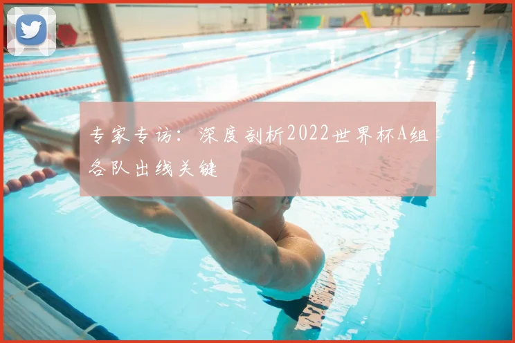 专家专访:深度剖析2022世界杯A组各队出线关键